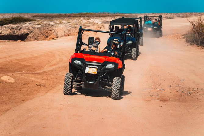 2 Seat 8HOUR Rental - Customer Reviews
