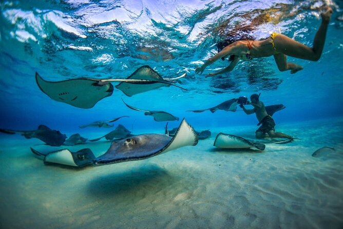 2-Stop Adventure: Stingray City and Snorkeling at Cayman Reefs - About Your Stay