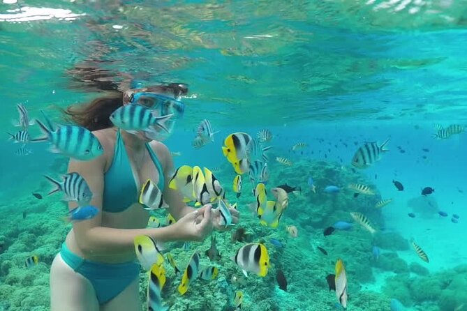 2-Stop Adventure: Stingray City and Snorkeling at Cayman Reefs - Amenities and Souvenirs