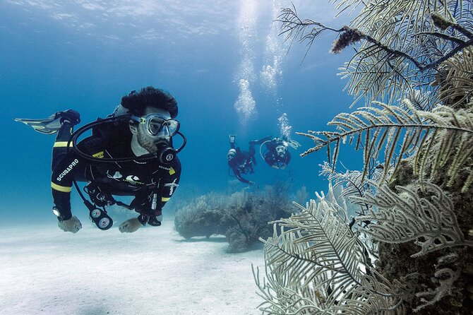 2 Tank Dive (For Certified Divers) - Health and Safety Information