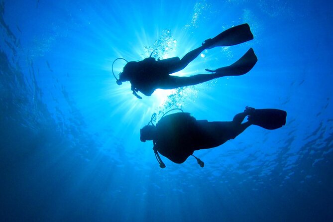 2 Tank Dive (For Certified Divers) - Maximizing Time in the Water
