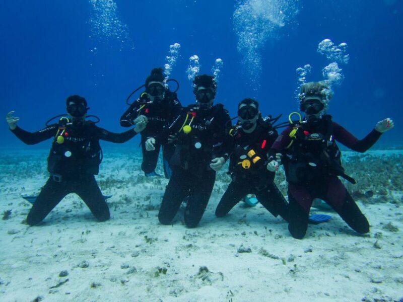 2 Tank Dive in Cozumel's Marine National Park - Key Points