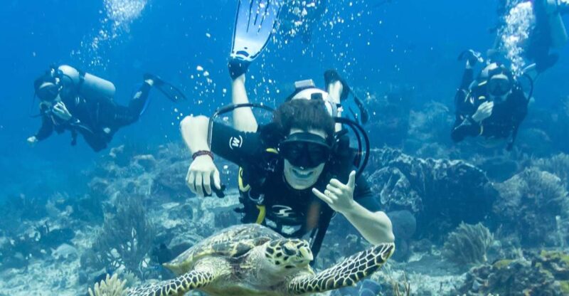2 Tank Dive in Cozumel's Marine National Park - Itinerary Details