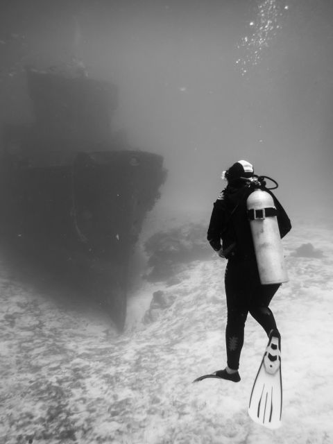 2 Tank Dive in Cozumel's Marine National Park - Dive Experience