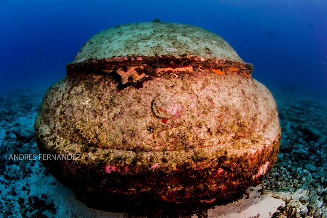 2 Tank Dives MUSA and Manchones Reef (Certified Divers) - Meeting Point