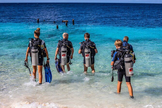2 Tank Guided Dive half-day - Who Will Love This Tour?
