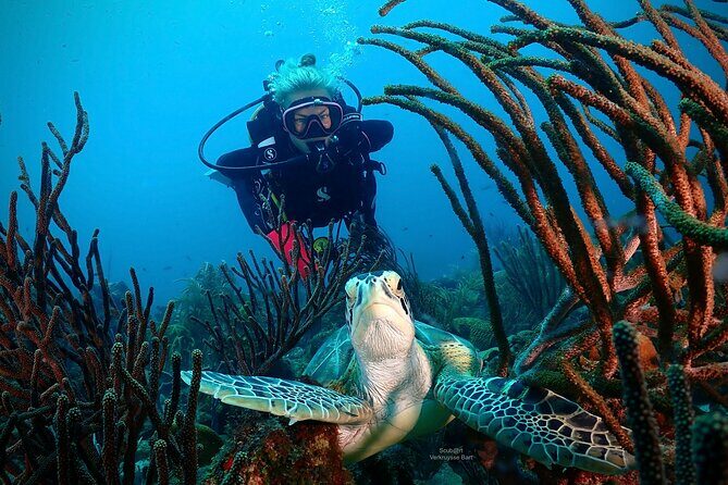 2 Tank Guided Dive half-day - FAQs