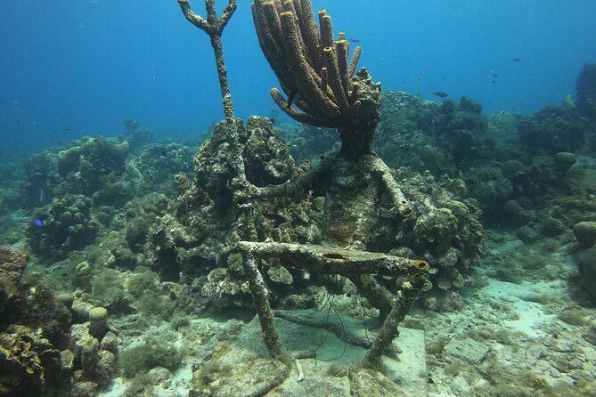 2 Tank Guided Shore Dive - Meeting and Pickup Information