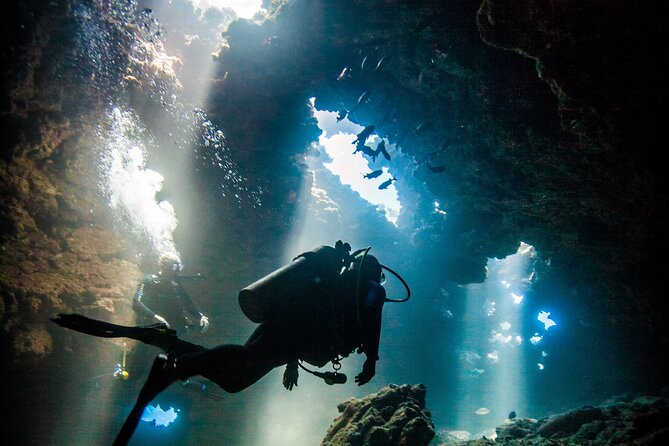 2 Tank Lanai Cathedral Scuba Dive (Boat) - Key Points