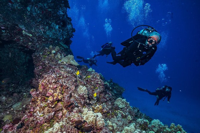 2 Tank Lanai Cathedral Scuba Dive (Boat) - Crew Feedback