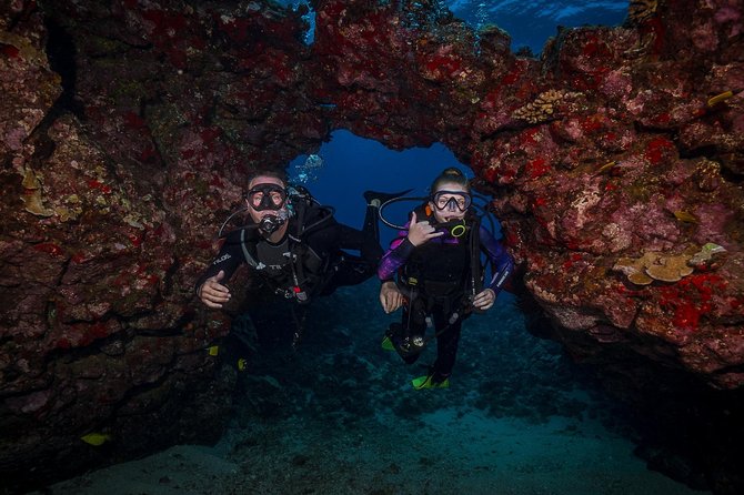 2 Tank Lanai Cathedral Scuba Dive (Boat) - Booking Experience