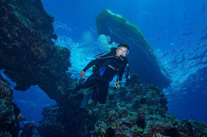 2 Tank Lanai Cathedral Scuba Dive (Boat) - Marine Life Encounters