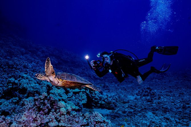 2 Tank Lanai Cathedral Scuba Dive (Boat) - Safety Measures