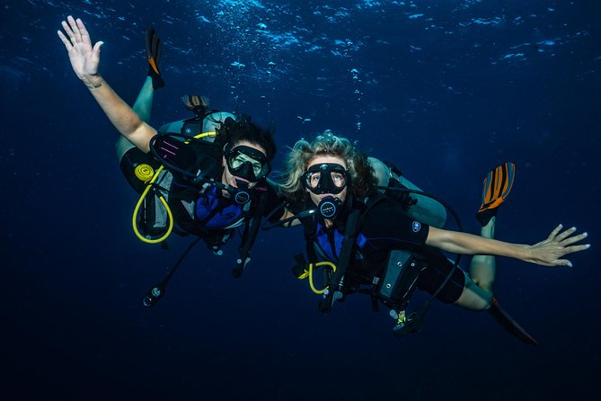 2-Tank Maui Turtle Scuba Dive or Snorkel Boat Tour - Meeting and Pickup
