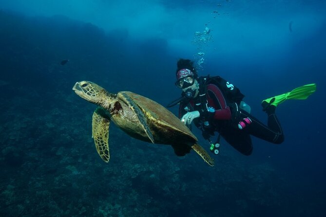 2-Tank Maui Turtle Scuba Dive or Snorkel Boat Tour - Safety Considerations