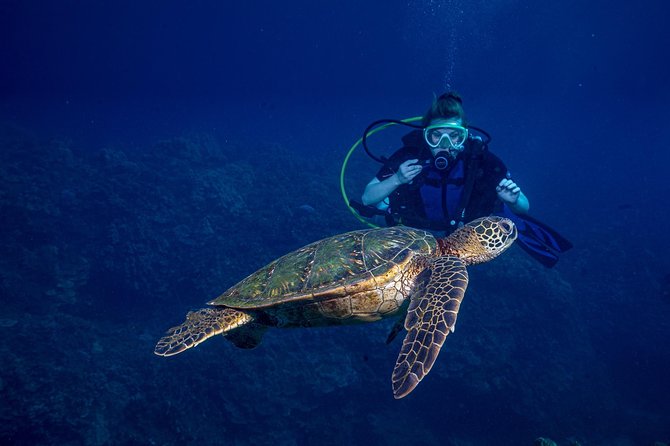 2-Tank Maui Turtle Scuba Dive or Snorkel Boat Tour - Sustainability Efforts
