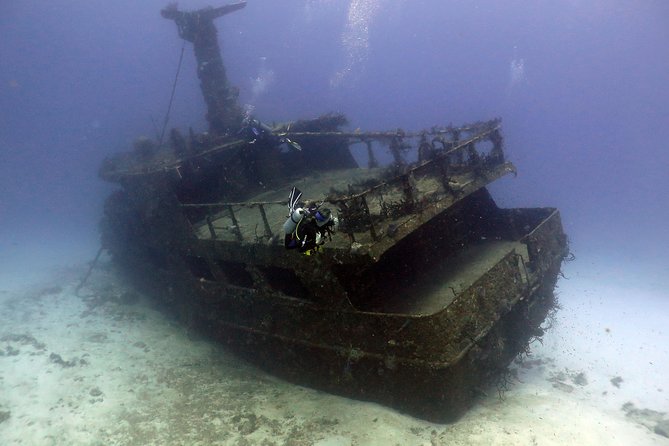 2-Tank Morning or Afternoon Dives in Playa Del Carmen Certified Divers Only - Guest Reviews and Ratings