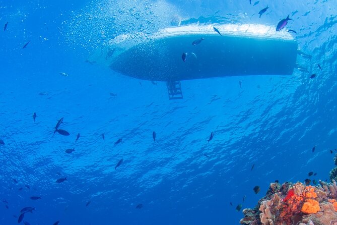 2 Tank Private Boat Dive - Dive Logistics