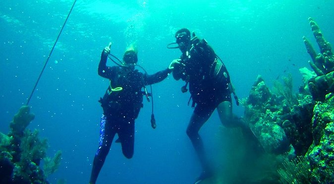 2 Tank Roatan Fun Dive, Boat Sightseeing Tour, Including Ground Transportation - Key Points