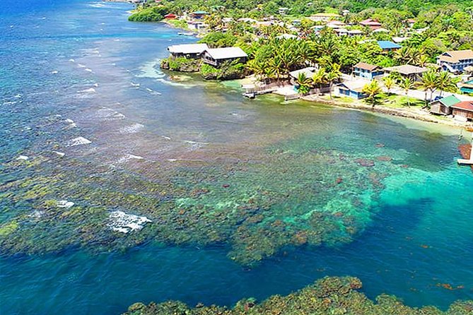 2 Tank Roatan Fun Dive, Boat Sightseeing Tour, Including Ground Transportation - Pricing and Availability