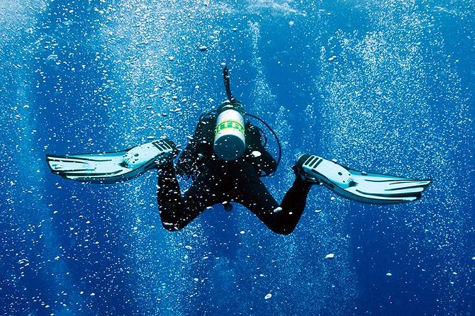 2 Tank Shore Dive at Sea Turtle Cove - Directions to the Dive Site