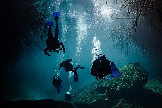 2 Tanks Cenote Diving Adventure in Tulum for Certified Divers - Meeting and Start Details