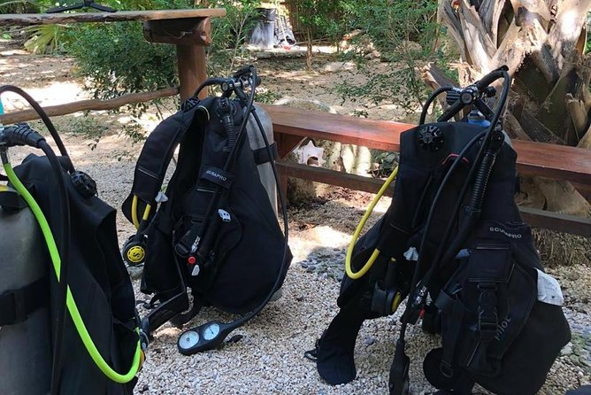 2 Tanks Cenote Diving Adventure in Tulum for Certified Divers - Review Highlights