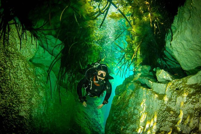 2 Tanks Cenote Diving Adventure in Tulum for Certified Divers - Booking and Cancellation Policy