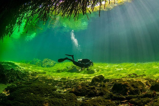 2 Tanks Cenote Diving Adventure in Tulum for Certified Divers - Diving Certification Requirements