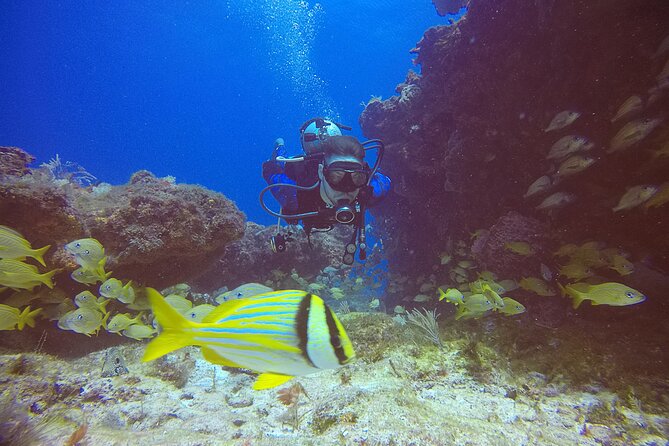2 Tanks Scuba Diving in Punta Cancun Reefs for Certified Divers - Details of the 2-Tank Dive