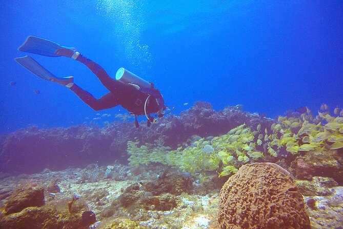 2 Tanks Scuba Diving in Punta Cancun Reefs for Certified Divers - Diving Precautions and Environmental Considerations