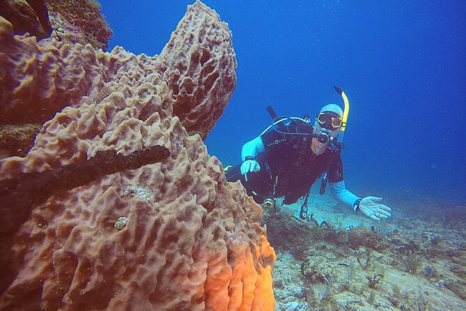 2 Tanks Scuba Diving in Punta Cancun Reefs for Certified Divers - Pricing and Cancellation Policy