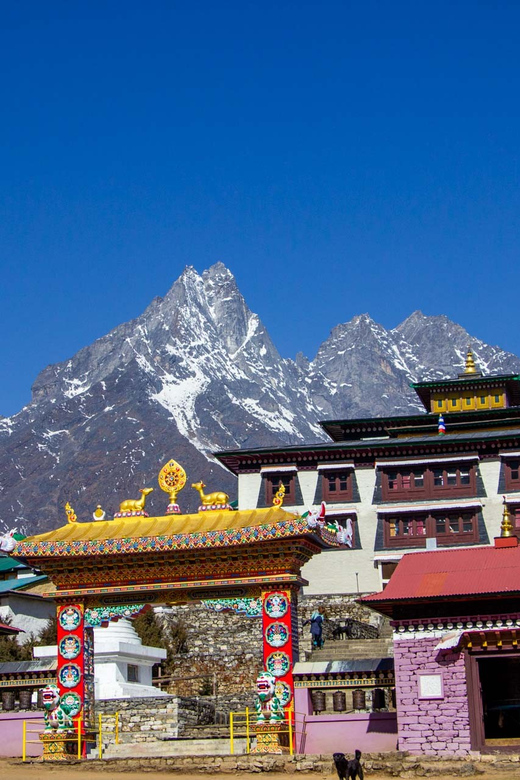 2 Weeks Buddhist Monastery Retreats in Tengboche Nepal - Included Services