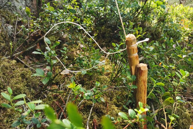 2-Weeks Cast-Away Survival Course in Södermanland - Booking Information