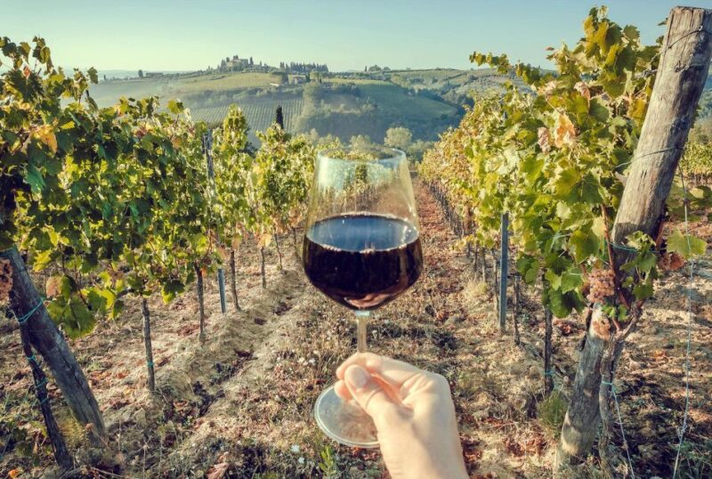 2 Wineries Chianti Wine Tasting Private Tour - Guidance and Language