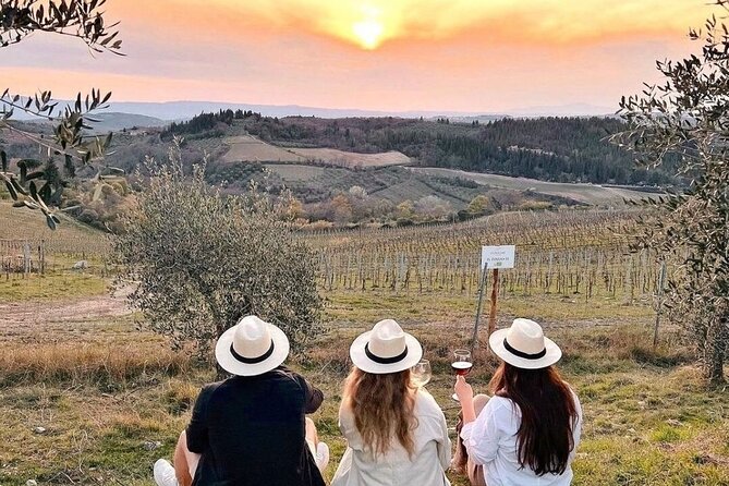 2 Wineries Chianti Wine Tasting & Vineyards Walk Private Tour - Wines and Delicacies Included