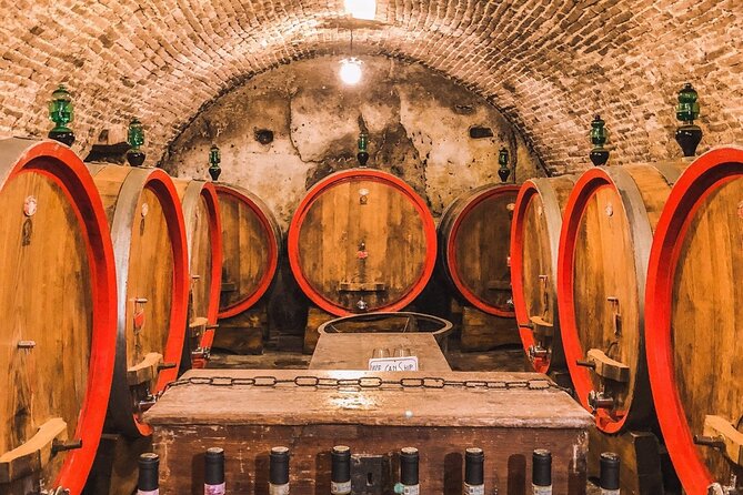 2 Wineries Chianti Wine Tasting & Vineyards Walk Private Tour - Pickup and Accessibility Details