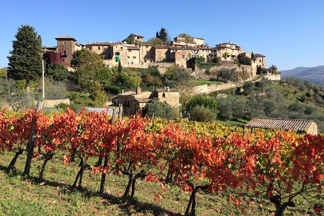 2 Wineries Chianti Wine Tasting & Vineyards Walk Private Tour - Scenic Journey Through Tuscan Landscapes