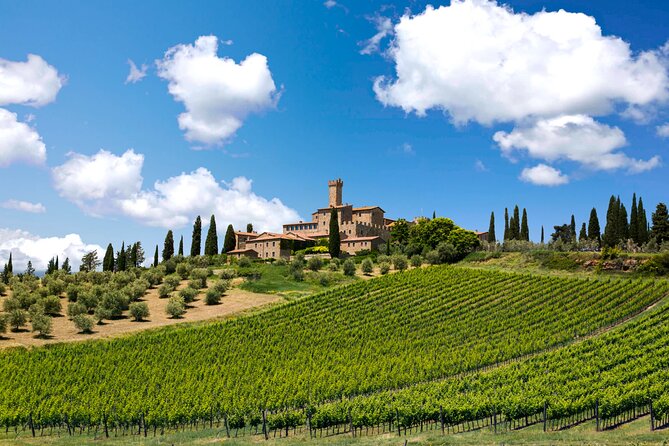 2 Wineries Chianti Wine Tasting & Vineyards Walk Private Tour - Testimonials and Reviews