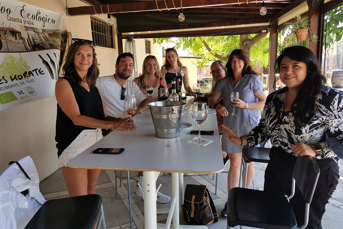 2 Wineries Tasting & Quaint Villages 6 Hours Wine Tour in Madrid - Tour Guide and Highlights