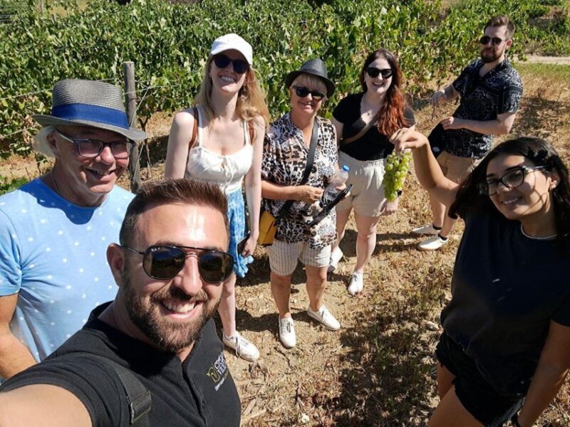2 Wineries Tour With Wine Tasting, Olive Oil Tasting & Lunch - Key Points