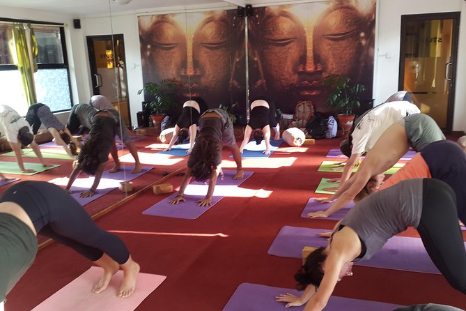 20 Days 200 Hour Authentic Yoga Teacher Training in Nepal - Reviews and Pricing