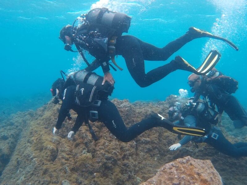 20 Minute Try Dive for Beginners - Key Points