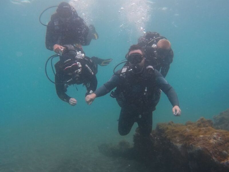 20 Minute Try Dive for Beginners - Restrictions