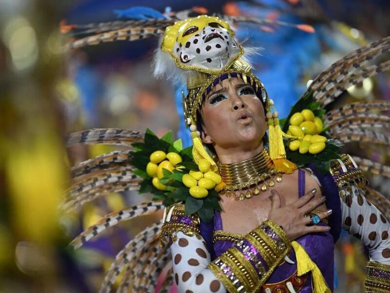 2025 Carnival Parade at Sapucai, Rio De Janeiro + Transfer - Grandeur of the Carnival Floats