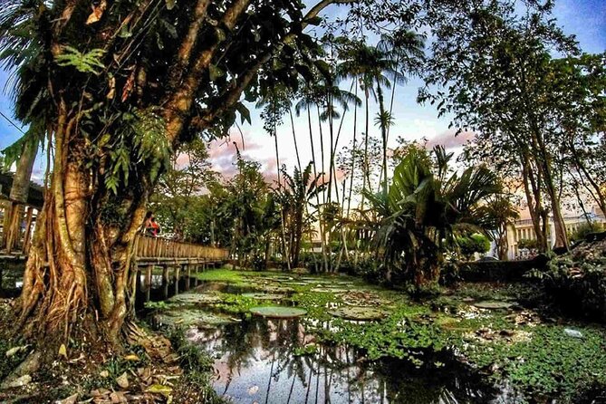 23 Day Ultimate Colombia Experience - Culinary Experiences