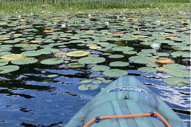 24-48 Hour Kayak Rental in Marmora, Ontario - Accessibility and Policies