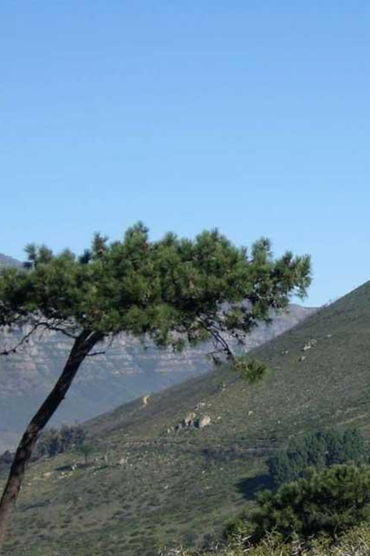 24 Minutes Robben Island and Hopper Helicopter Day Tour - Cape Town Attractions