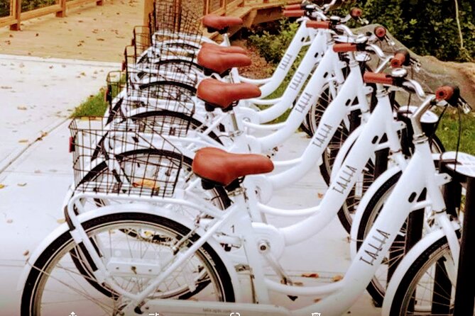 24 Speed Hybrid Road Bike Rental - Physical Requirements and Accessibility