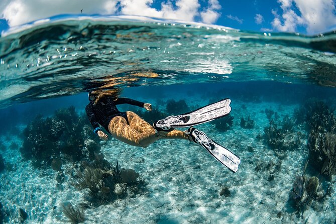 24H Snorkel Rental Equipment, Discover Tenerife on Your Own! - Key Points